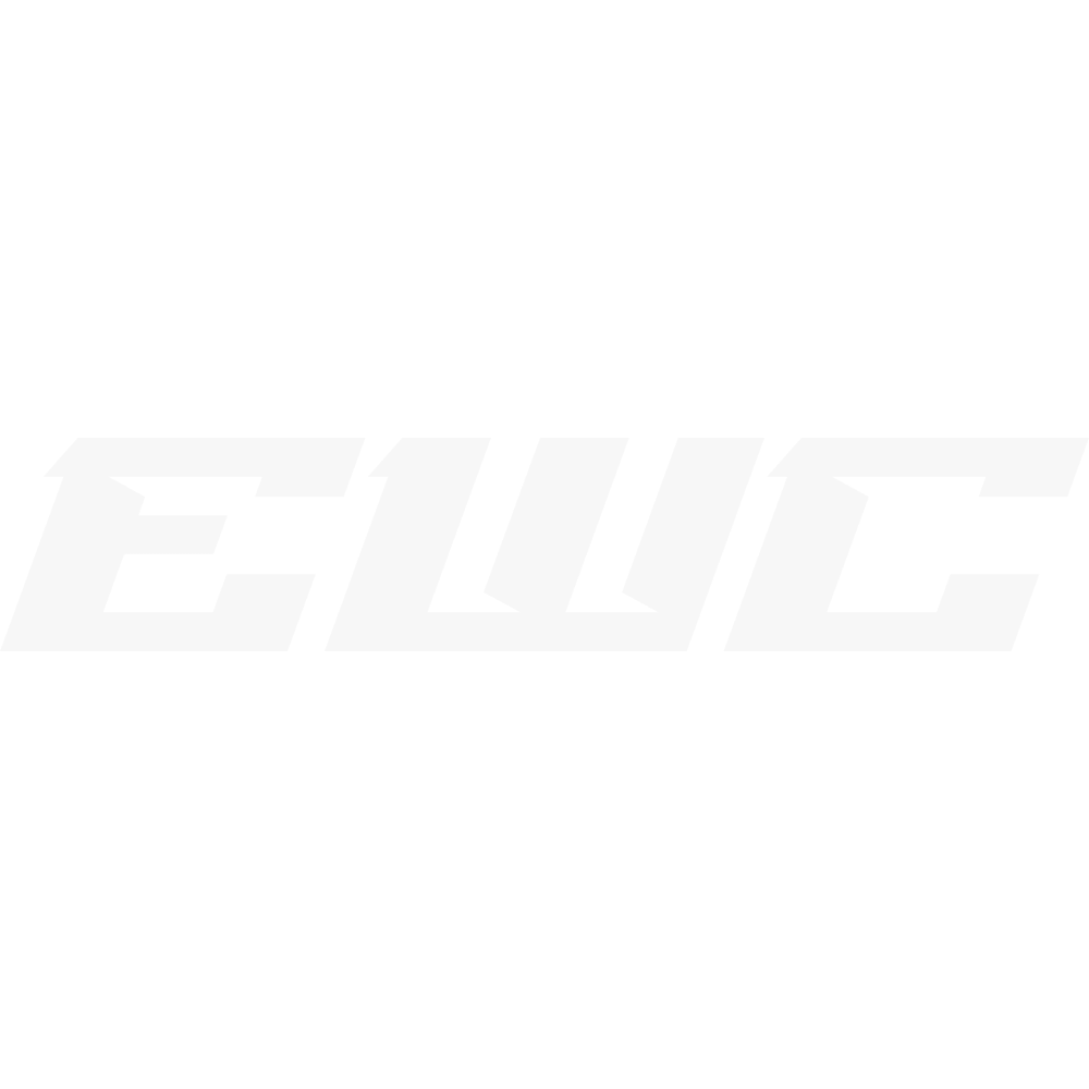 Esports World Cup