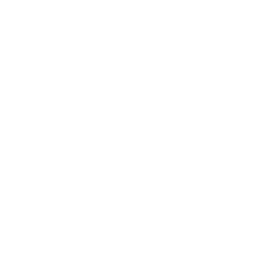 Wap Esports