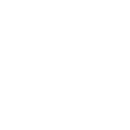 Team Secret