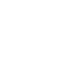 TS