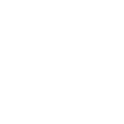 TSM Challengers