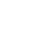 Shopify Rebellion