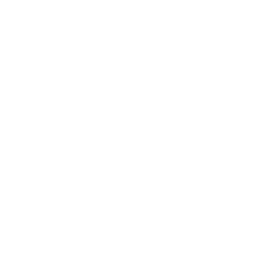 Team Liquid Honda Challengers