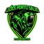 Leões de Porto Salvo Esports