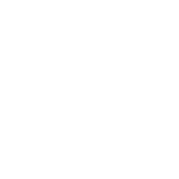 DG