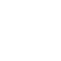 BVL