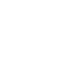 VT