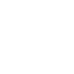 WSG