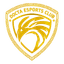 Docta Esports Club