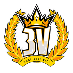 3V