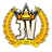 3V