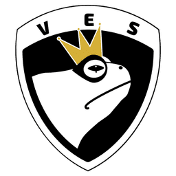 VES